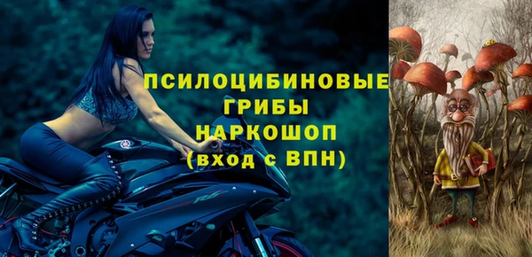 2c-b Бородино
